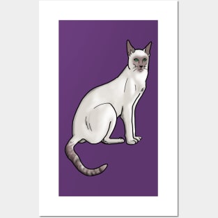 Siamese Cat on Purple Posters and Art